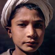 Herat boy