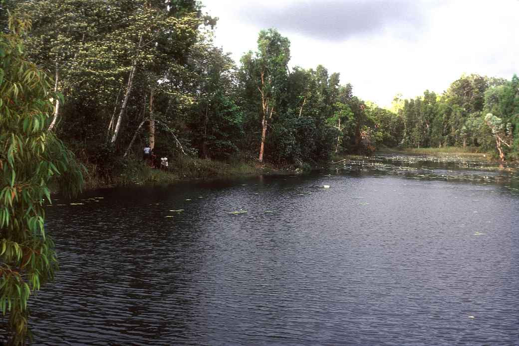 Bamaga creek