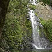 Cassowary Falls