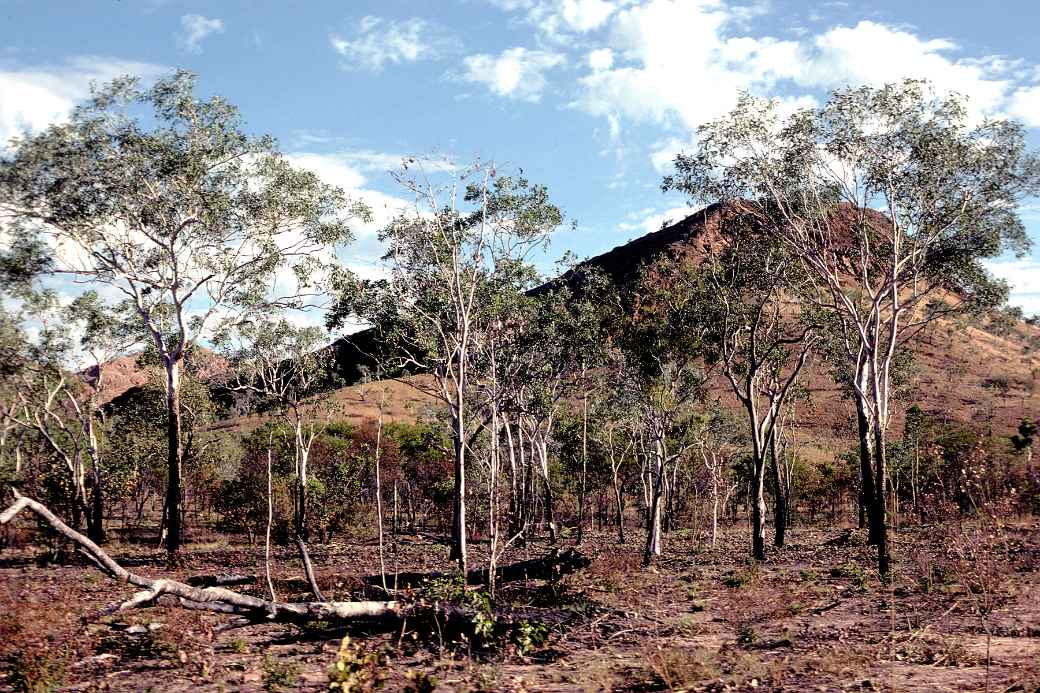 Hill to the south of Kununurra