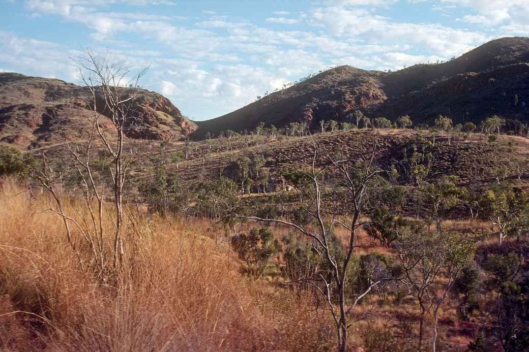 Landscape to the south of Kununurra