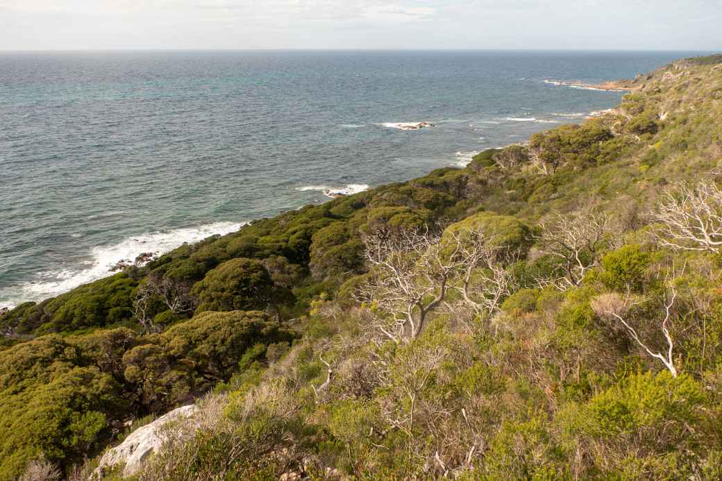 Cape Naturaliste view