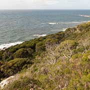 Cape Naturaliste view