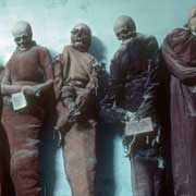 Mummified monks