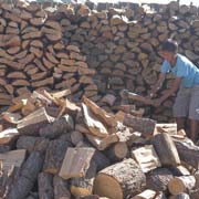 Cutting firewood