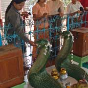 At Great Snakes Pagoda