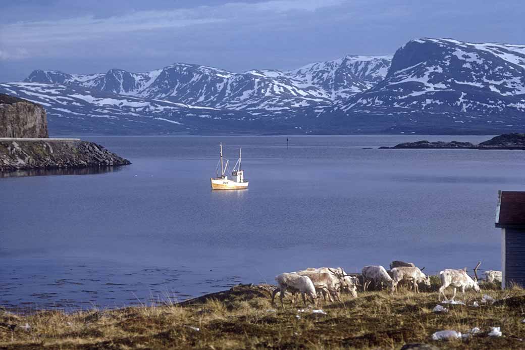 View to Kvaløya