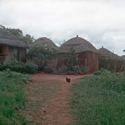 Swazi homestead