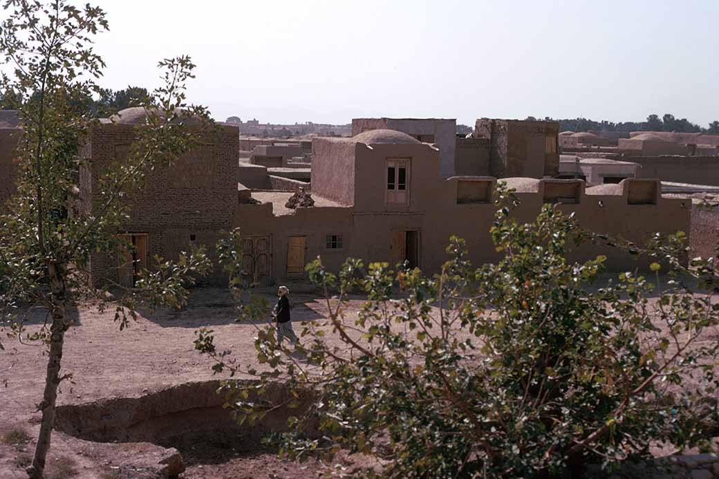 Mud brick houses