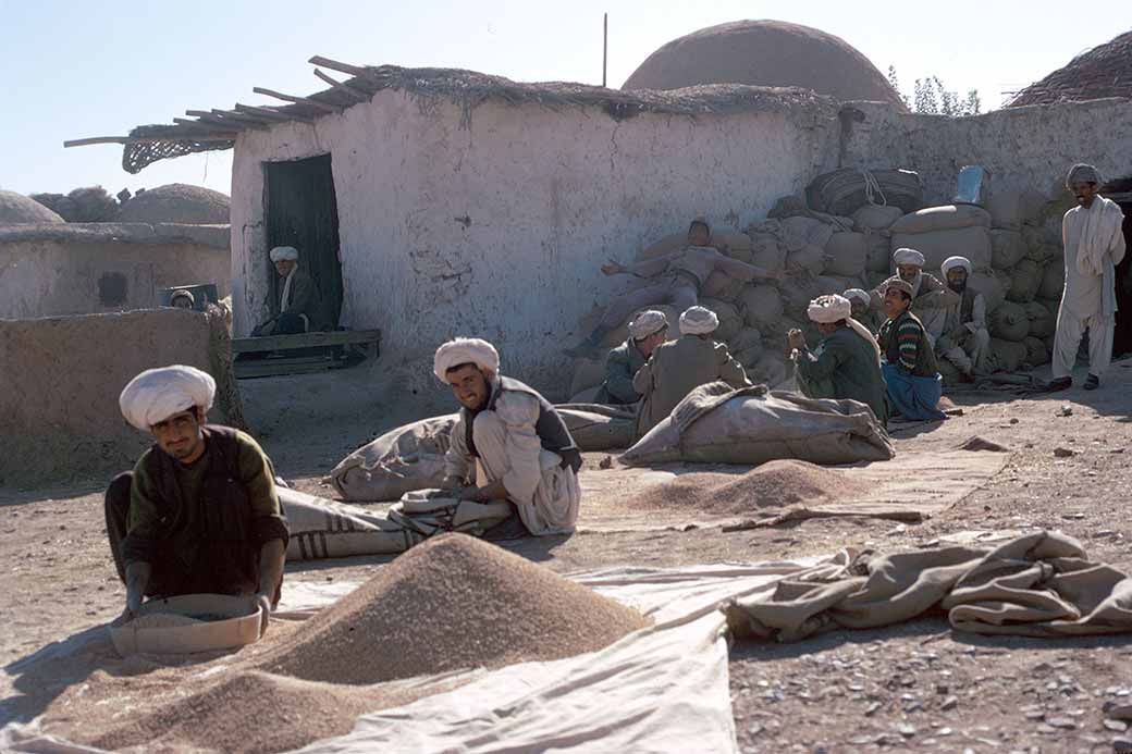 Winnowing grain