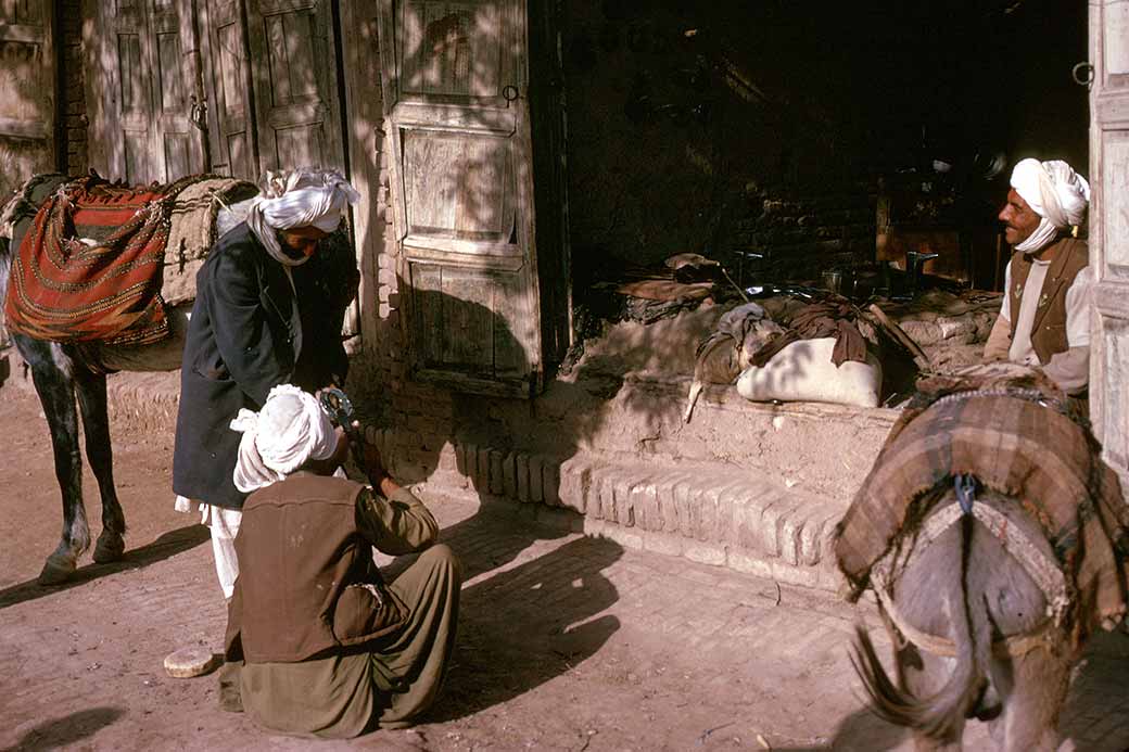 Shoeing a horse