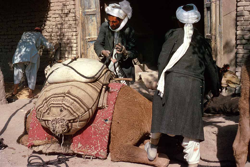 Offloading camel