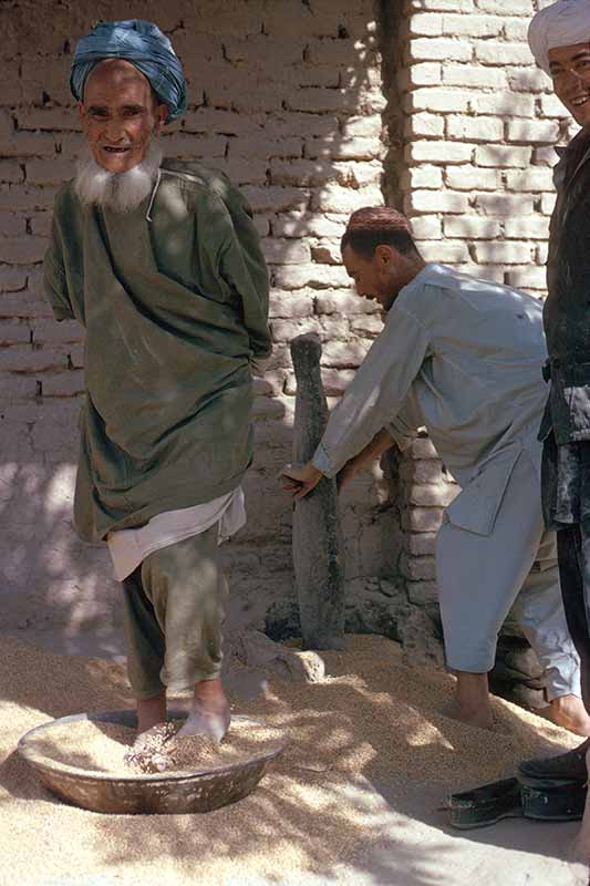 Preparing grain