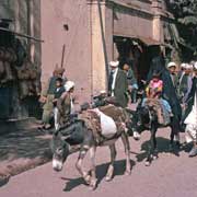 Donkey transport