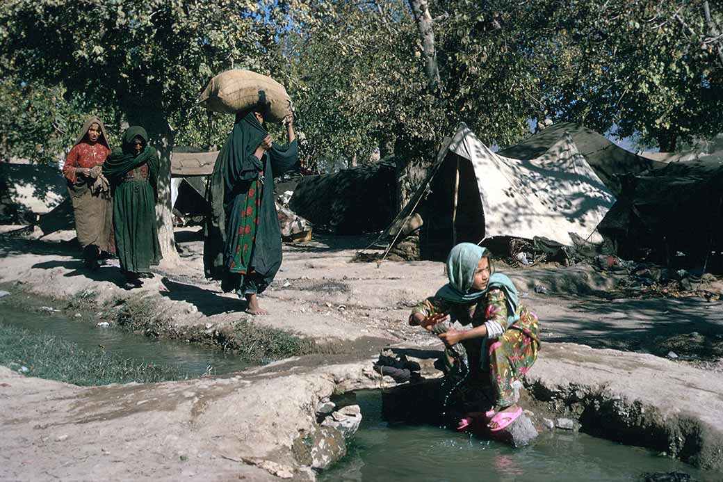 Kuchi nomad camp