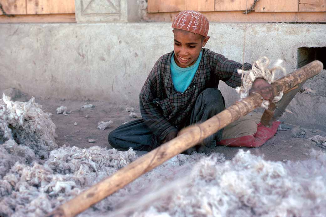 Separating cotton fibres