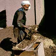 Making mud bricks