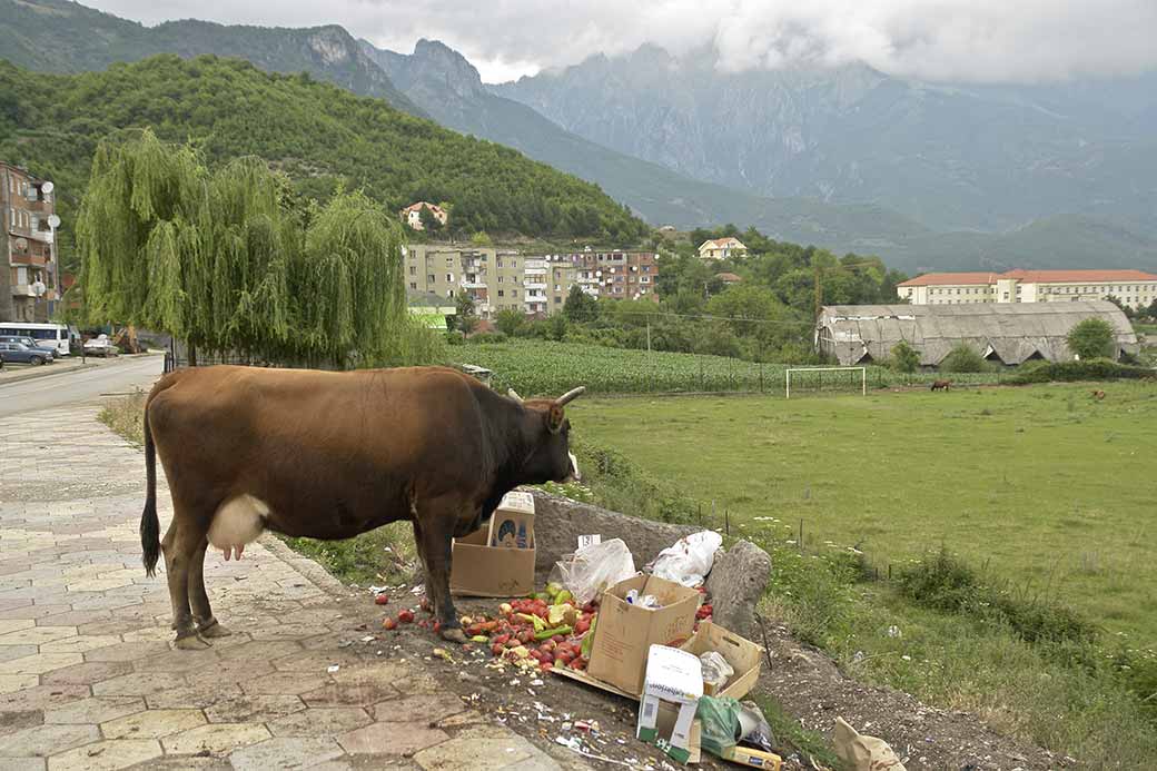 Bajram Curri outskirts