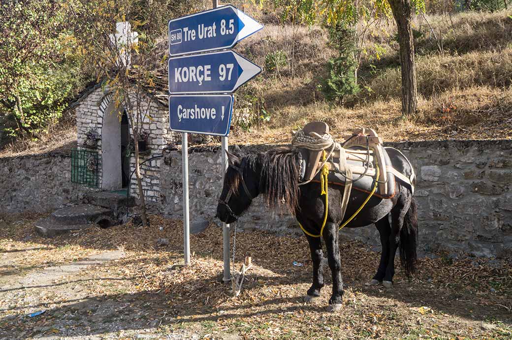 Parked horse, Çarçovë