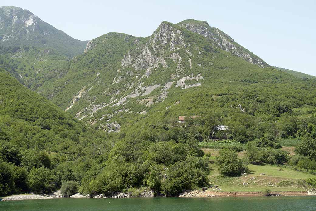 Scenery near Fierzë