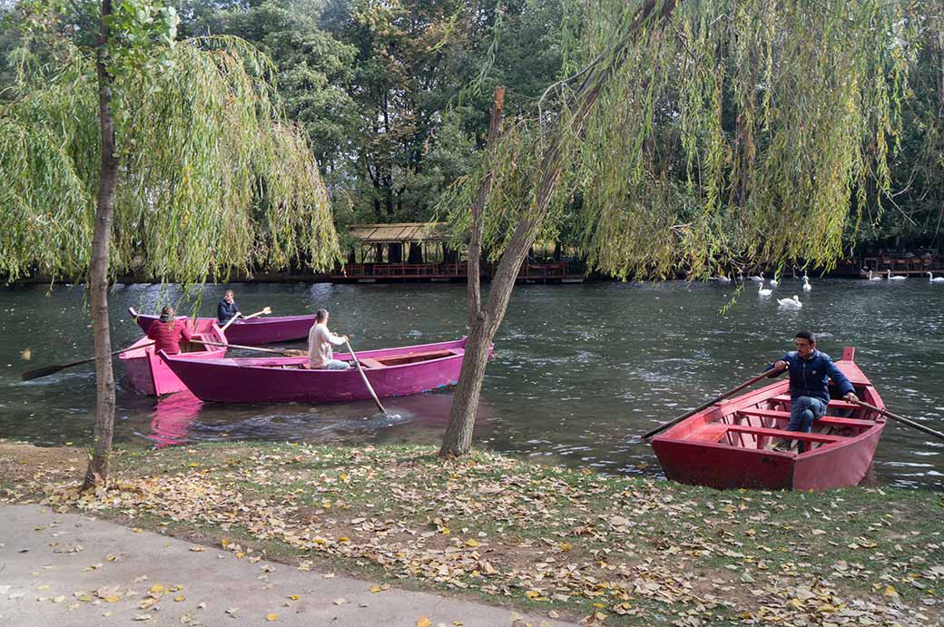 Rowing boats, National Park of Drilon