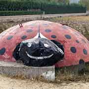 Ladybug bunker