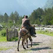 Riding a donkey