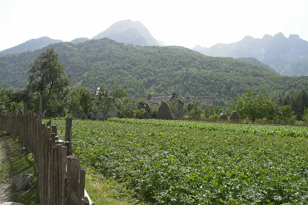 Farm near Valbona