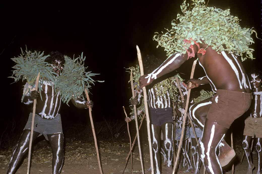 Brolga dance