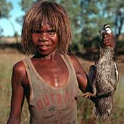 A wild duck