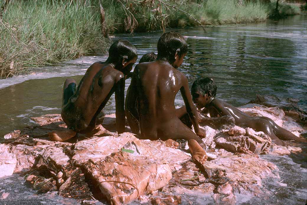 Paperbark raft