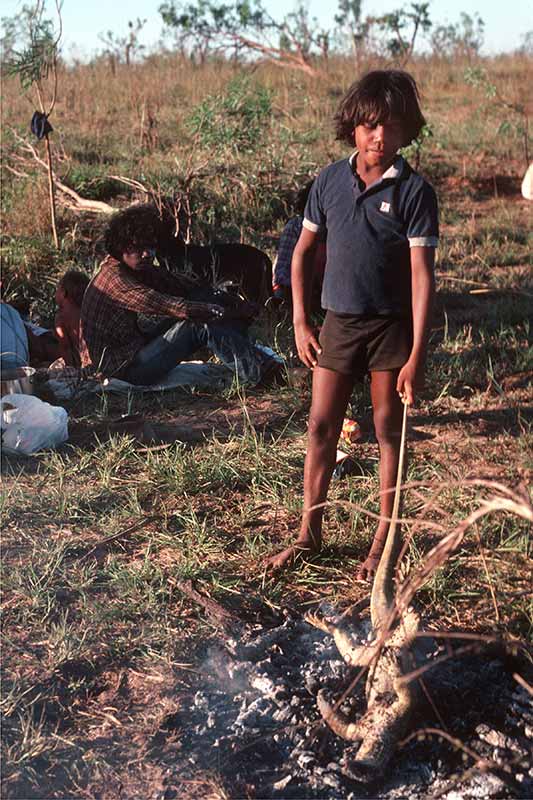 Cooking a goanna