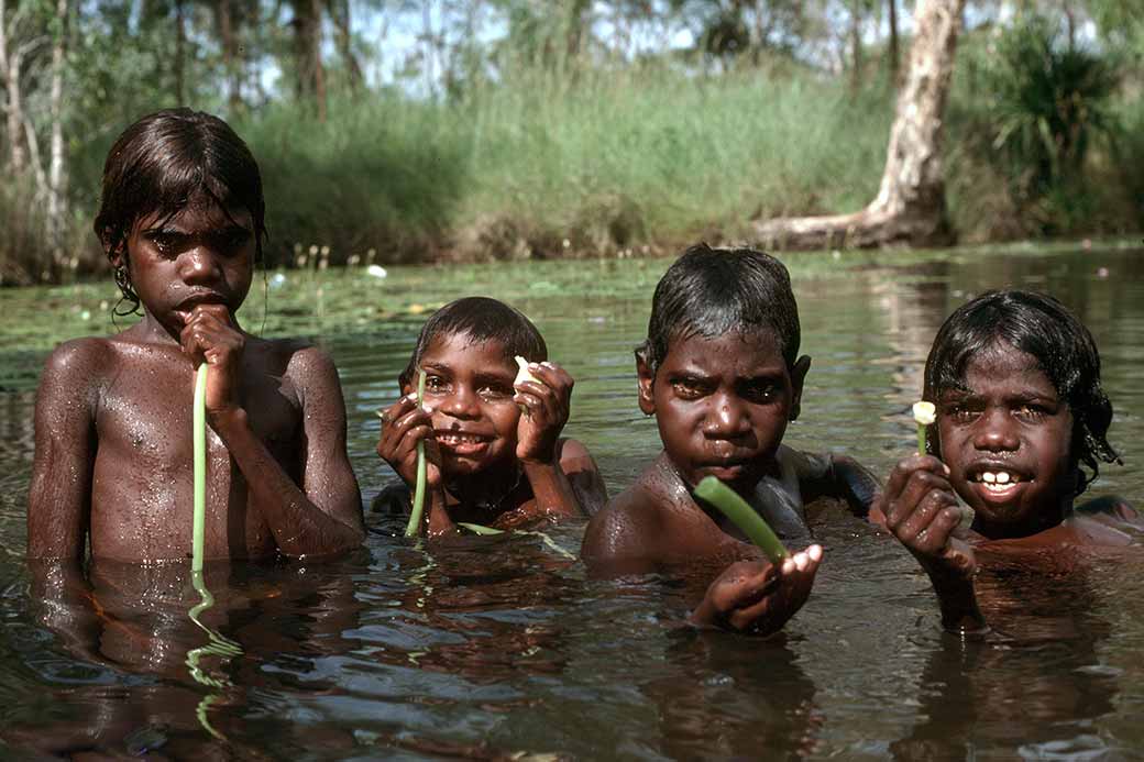 Collecting water lilies