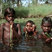 Collecting water lilies