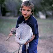 With a brolga