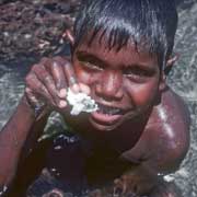 Finding oysters