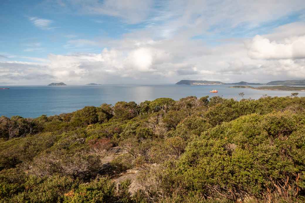 Princess Royal Harbour, Albany