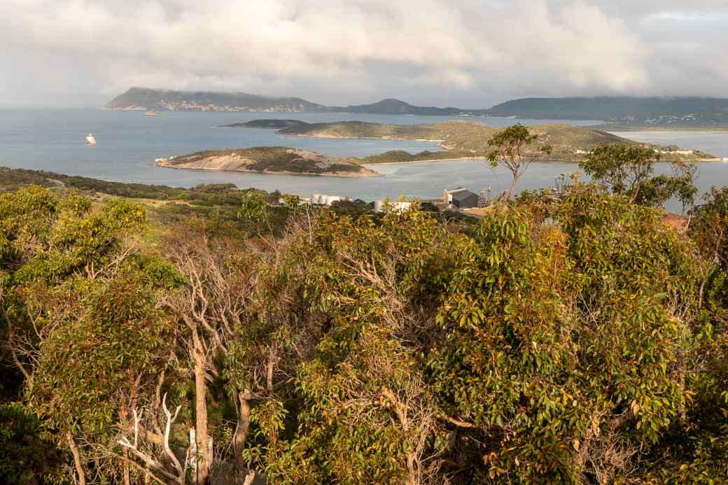 View, Padre White Lookout