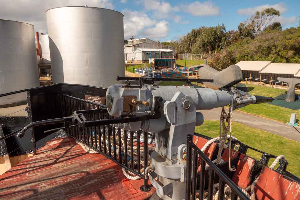 Harpoon, Whaling Ship