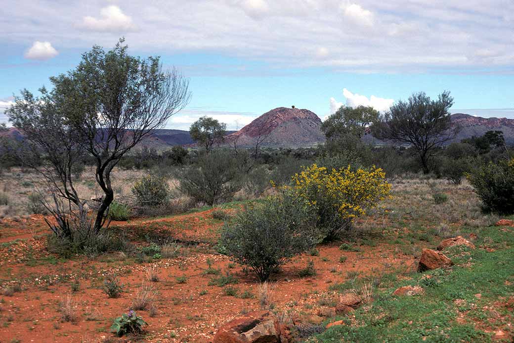 MacDonnell Ranges