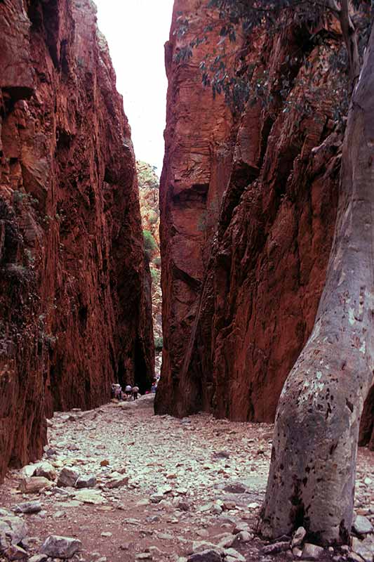 Standley Chasm