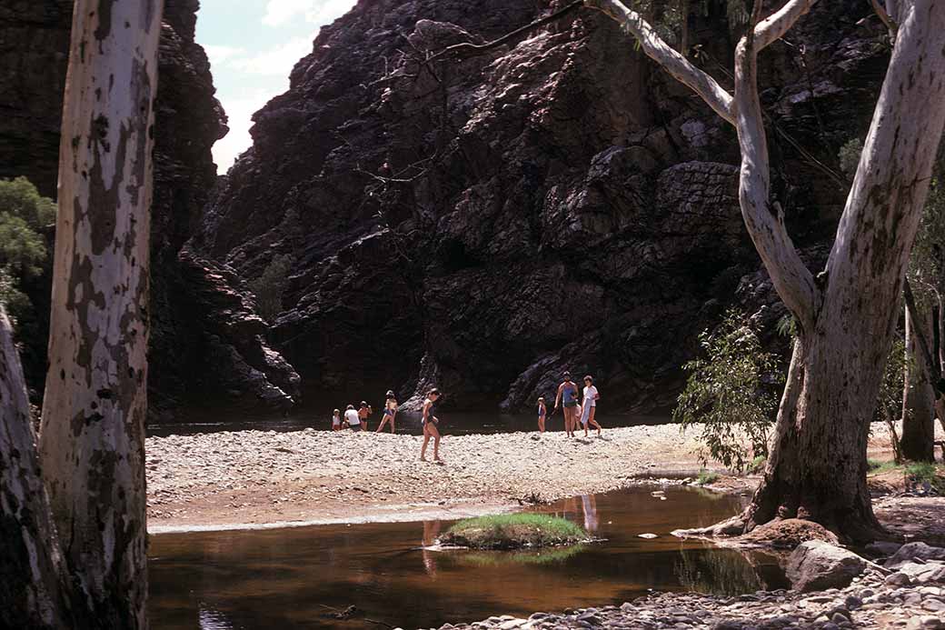 Ellery Creek