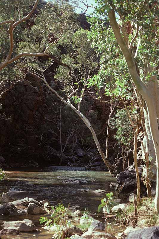 Serpentine Gorge