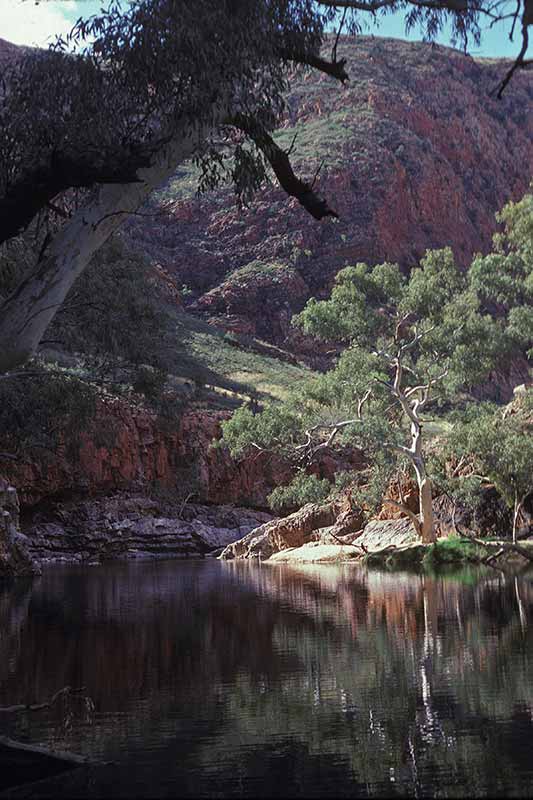 Waterhole, Ormiston