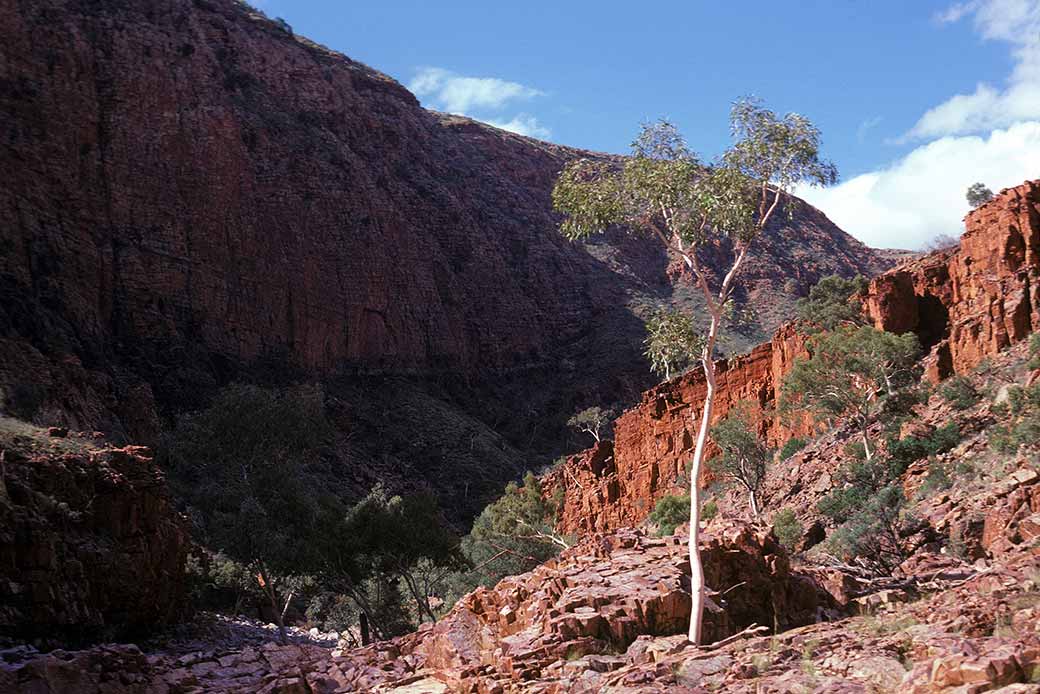 Ormiston Gorge