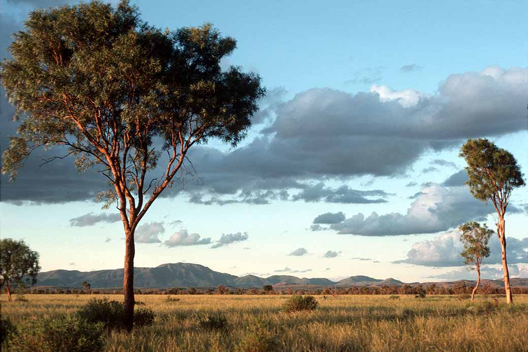 Central Australia