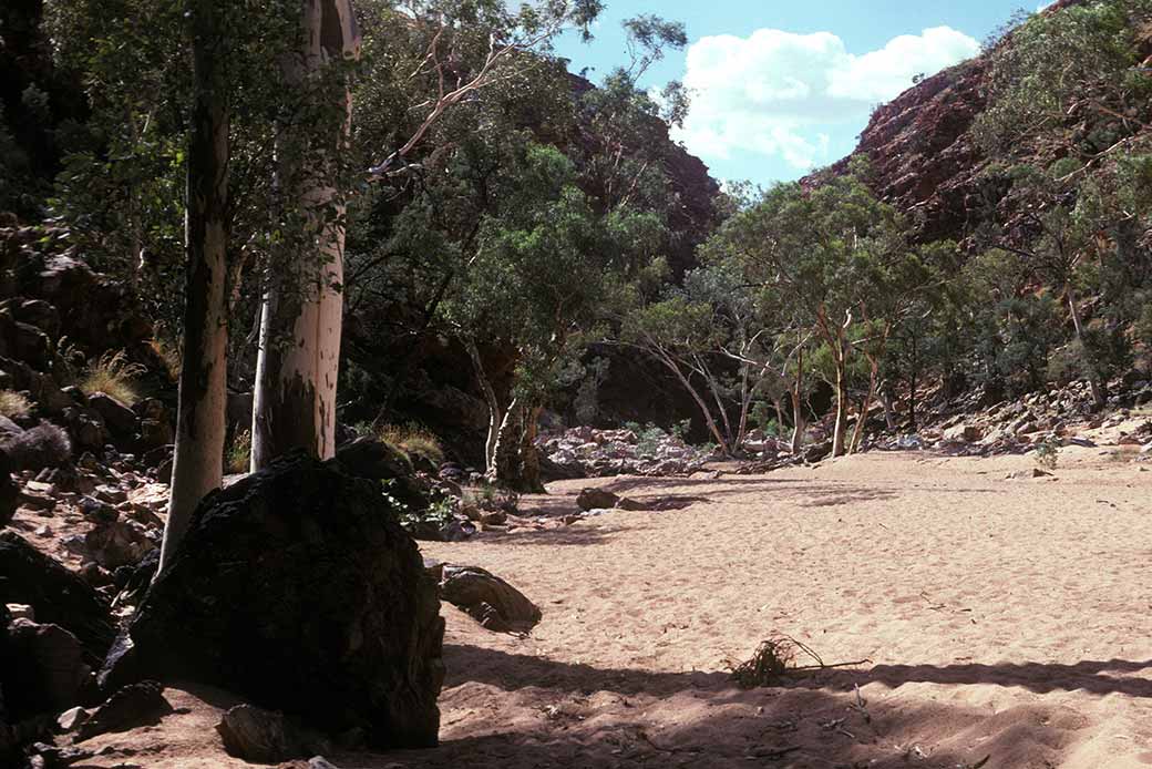 Riverbed, Redbank Gorge