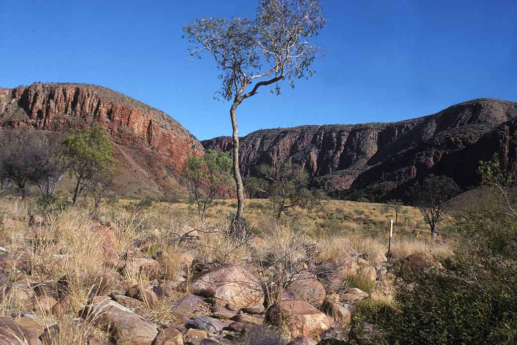 View to Ormiston Gorge