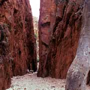 Standley Chasm