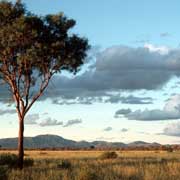 Central Australia